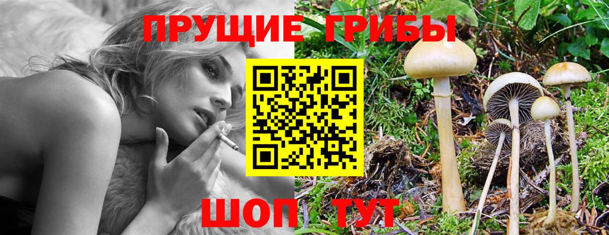 Галлюциногенные грибы мухоморы Кубинка