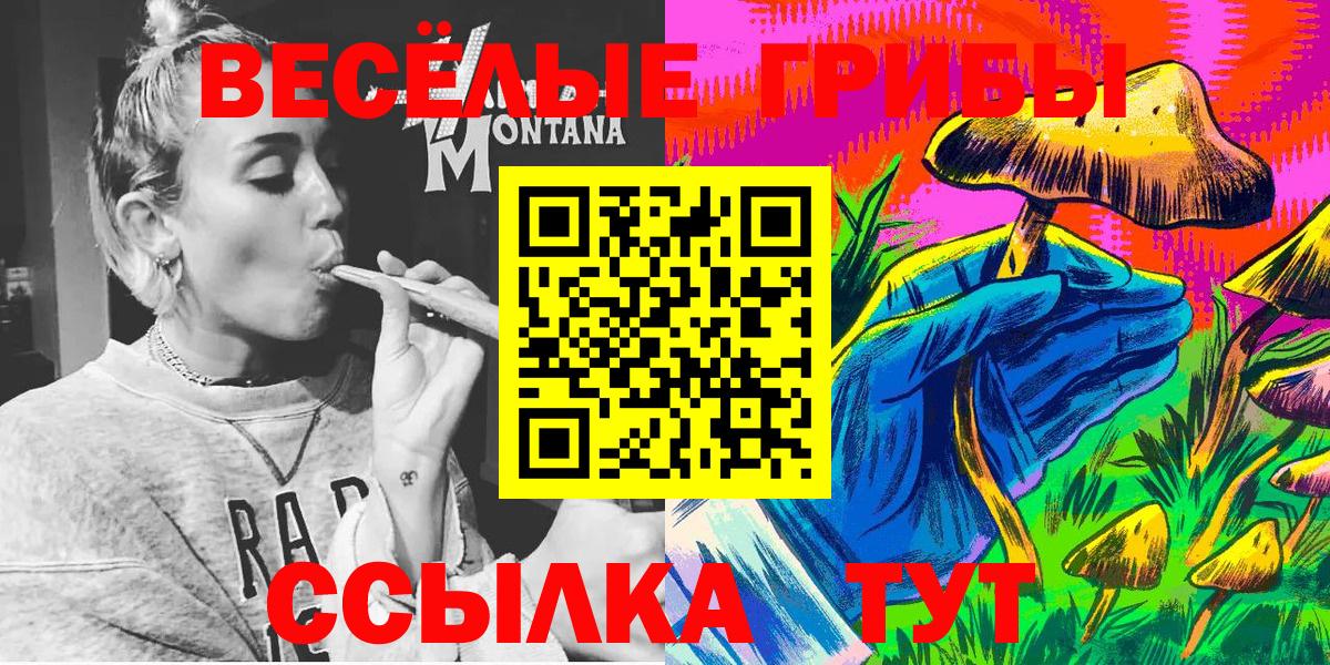 Галлюциногенные грибы MAGIC MUSHROOMS  Вход с VPN  сколько стоит  Кубинка 